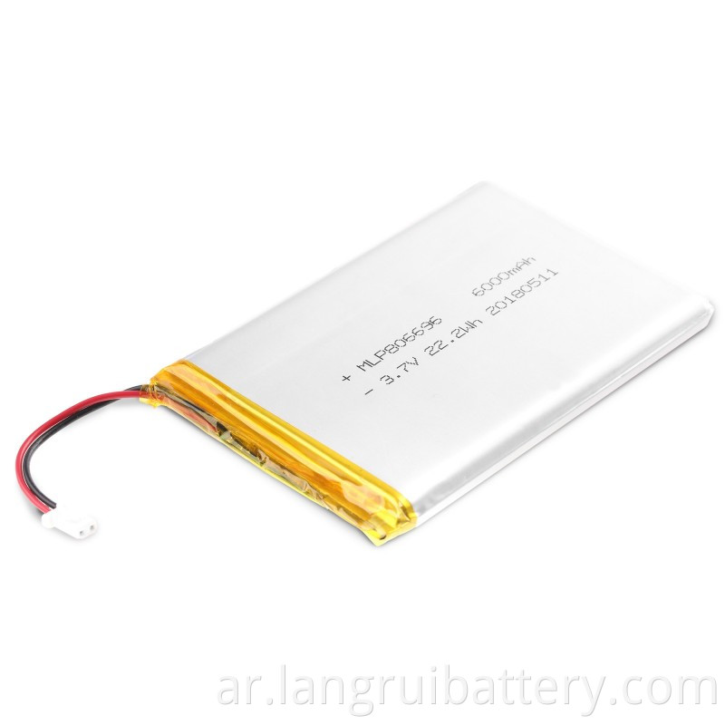 Polymer Battery